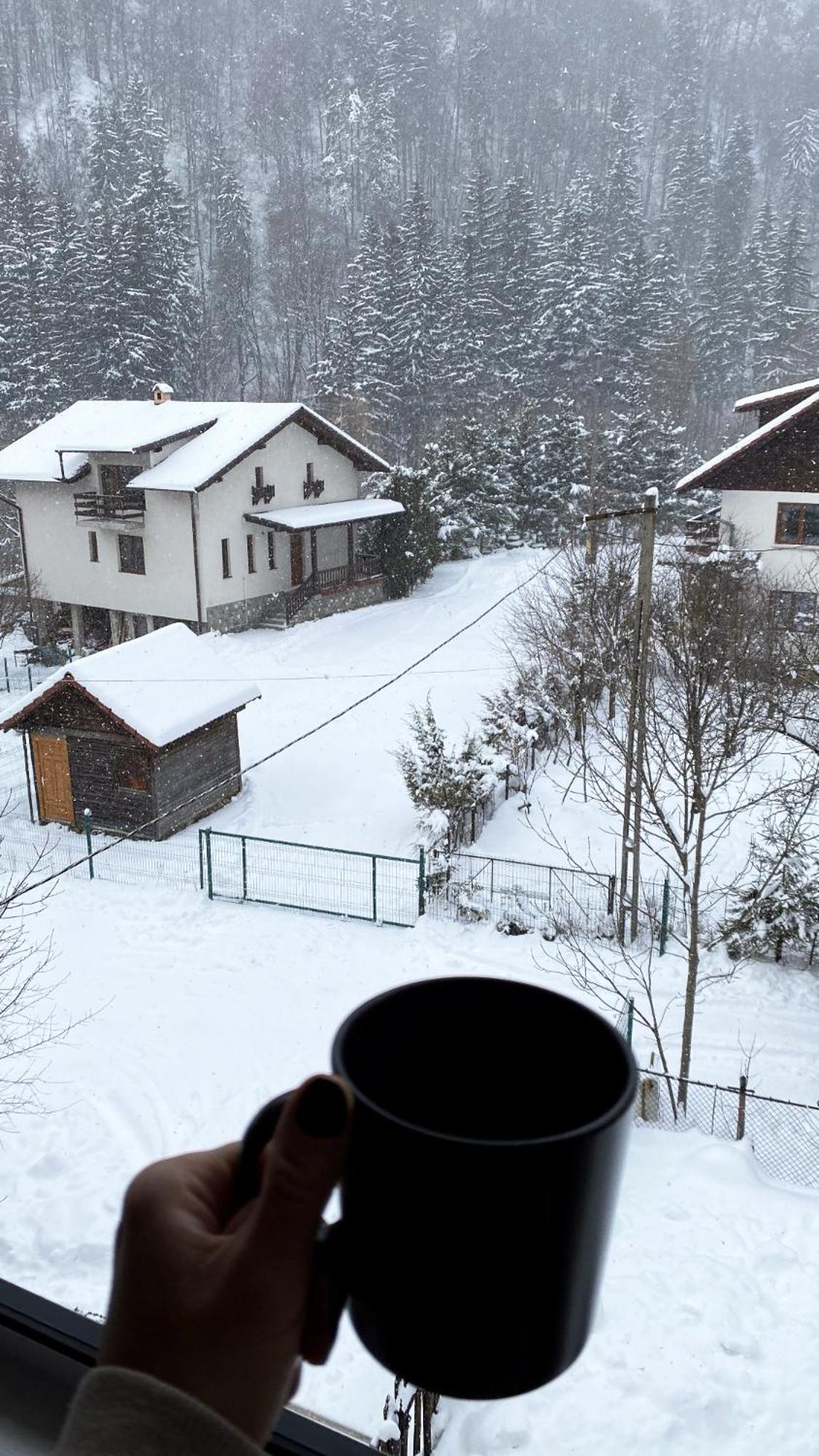 Queen'S Heart Guesthouse Bran  Zewnętrze zdjęcie