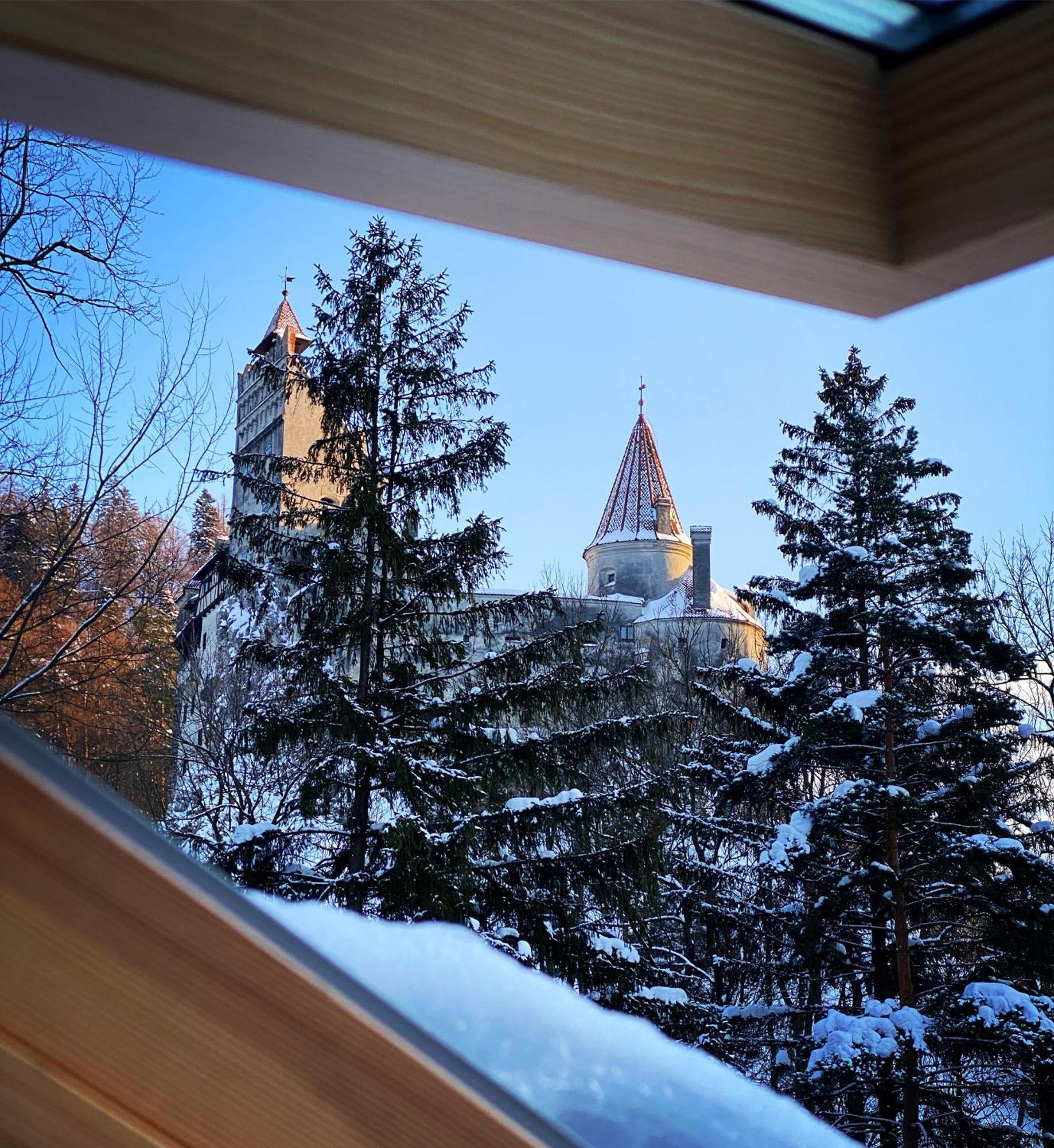 Queen'S Heart Guesthouse Bran  Zewnętrze zdjęcie