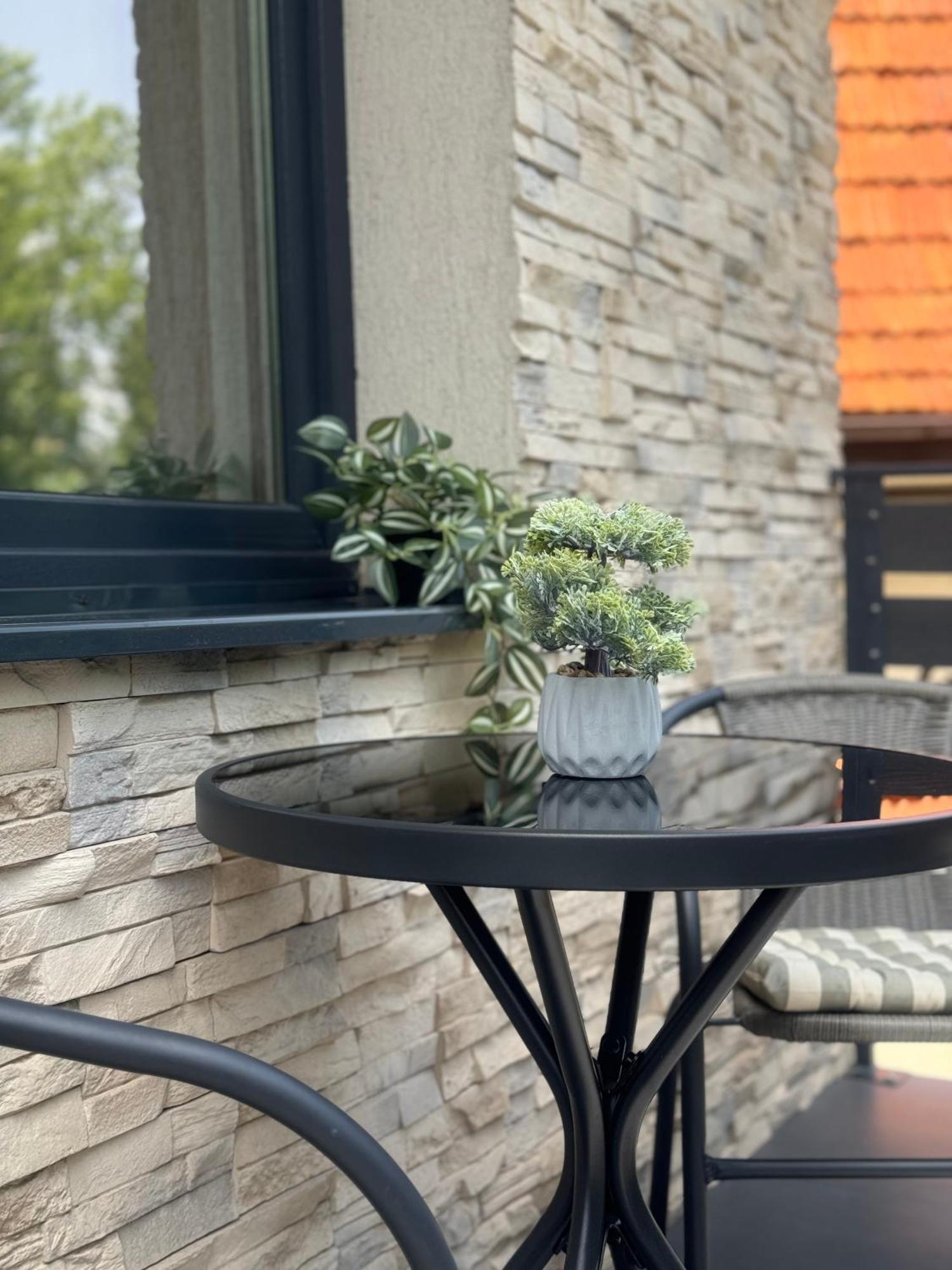 Queen'S Heart Guesthouse Bran  Zewnętrze zdjęcie