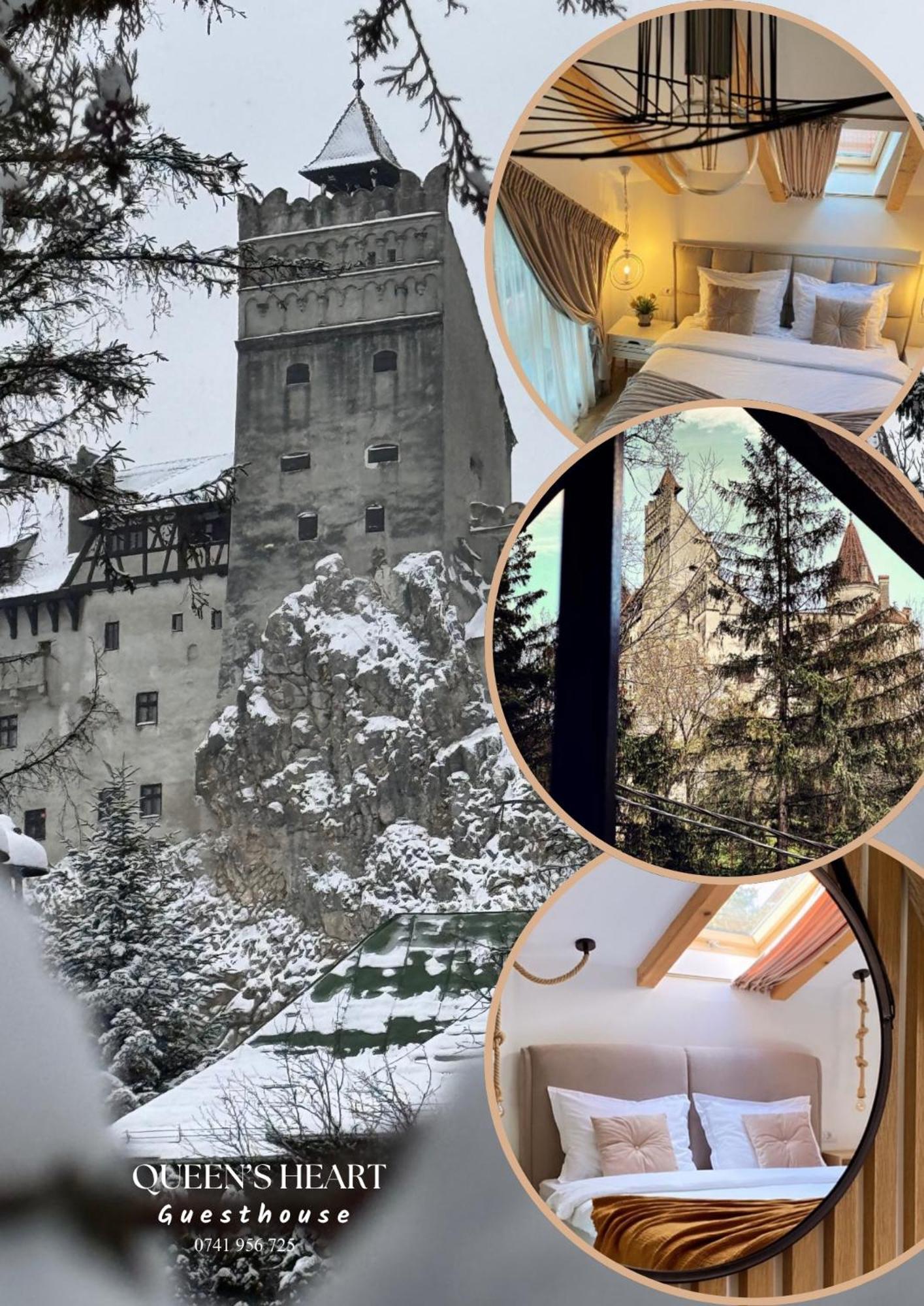 Queen'S Heart Guesthouse Bran  Zewnętrze zdjęcie